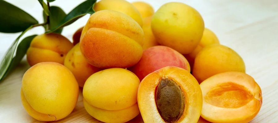  19 recettes pour préparer les abricots de Belgourmet.eu